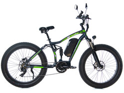 E-motions Cougar Torque E-motions Cougar Torque